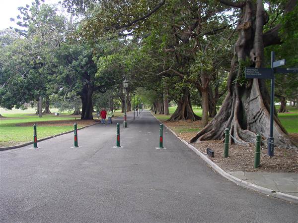 The Domain (25/02/2013 11:37:59 AM)