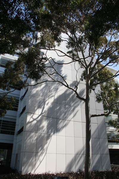 Australian School of Business - University of NSW (25/02/2013 11:53:38 AM)