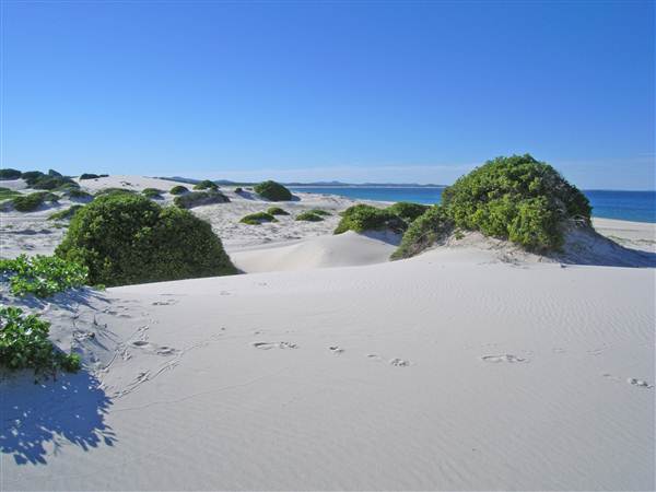 Bennetts Beach (26/02/2013 1:00:54 PM)