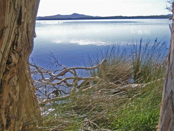 Northern Broadwater Picnic Area (26/02/2013 4:35:46 PM)