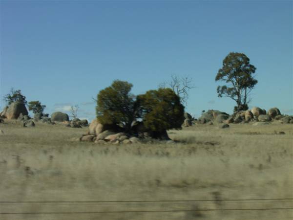 Dalgety/Cooma (27/02/2013 10:57:52 AM)