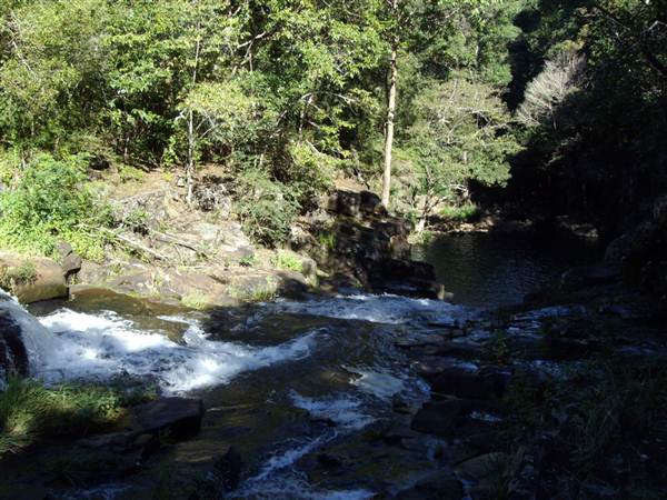 Dalwood Falls (27/02/2013 11:41:02 AM)