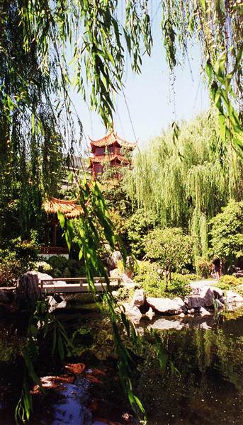 Chinese Garden of Friendship - Darling Harbour (27/02/2013 1:30:28 PM)