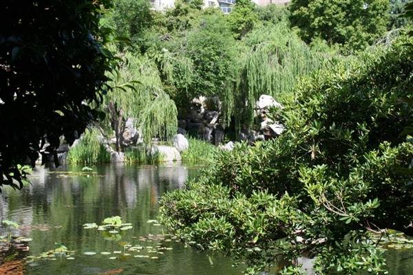 Chinese Garden of Friendship - Darling Harbour (27/02/2013 1:33:02 PM)