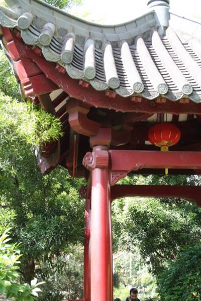 Chinese Garden of Friendship - Darling Harbour (27/02/2013 1:35:33 PM)