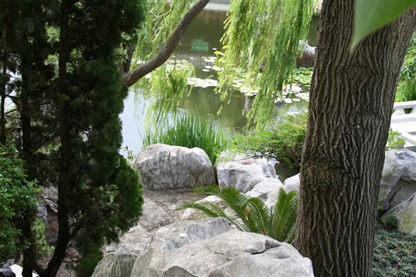 Chinese Garden of Friendship - Darling Harbour (27/02/2013 1:36:47 PM)