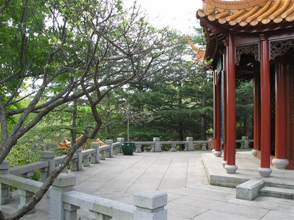 Chinese Garden of Friendship - Darling Harbour (27/02/2013 1:38:12 PM)