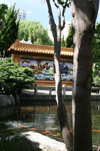 Chinese Garden of Friendship - Darling Harbour (27/02/2013 1:40:49 PM)