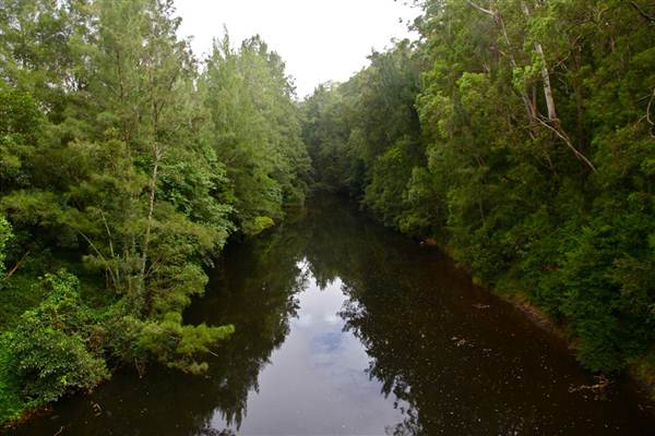 Kangaroo Valley River Suspension Bridge (27/02/2013 4:20:57 PM)