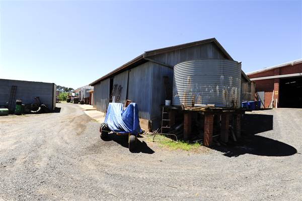 Daydawn Orchard (27/02/2013 7:04:58 PM)