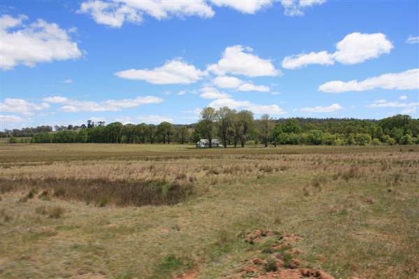Deeargee Woolshed (27/02/2013 7:50:41 PM)