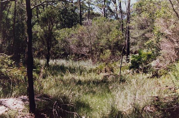 Deep Creek Reserve (27/02/2013 8:31:59 PM)