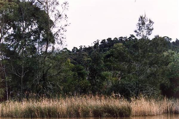 Deep Creek Reserve (27/02/2013 8:33:03 PM)