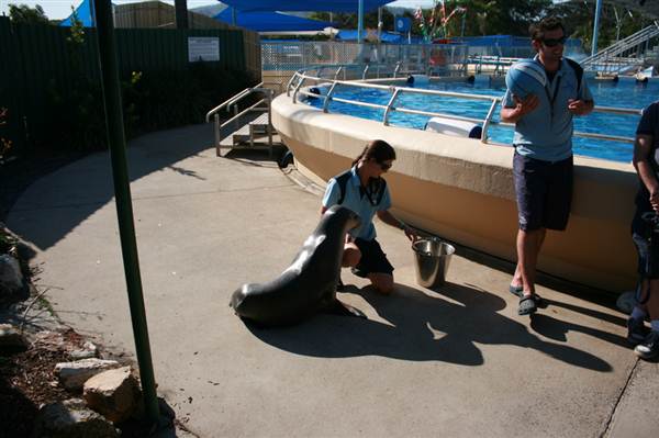 Dolphin Marine Magic (27/02/2013 10:44:04 PM)