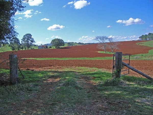 Dorrigo - General (27/02/2013 10:51:16 PM)