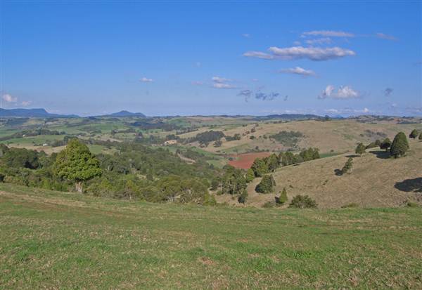 Dorrigo - General (27/02/2013 10:52:47 PM)