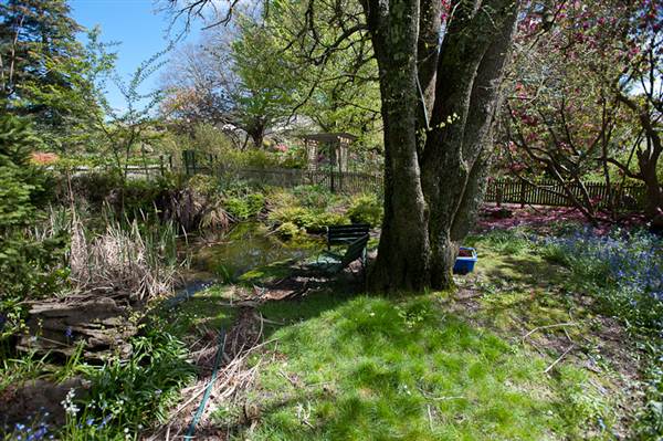 Lady Fairfax Gardens (28/02/2013 10:11:41 AM)