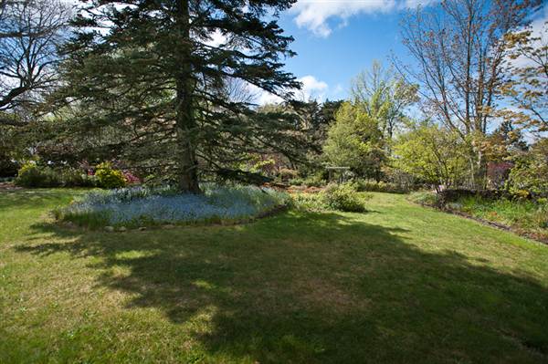 Lady Fairfax Gardens (28/02/2013 10:12:25 AM)