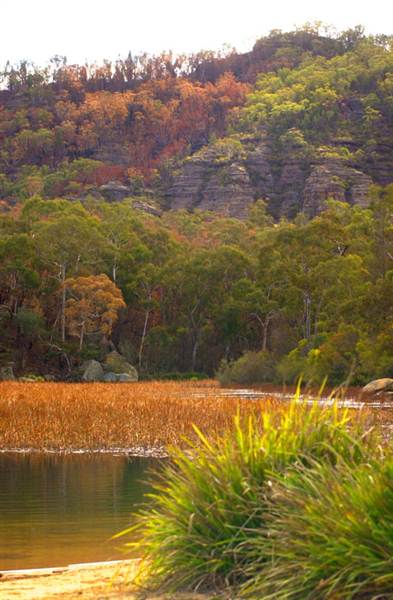 Dunns Swamp (28/02/2013 12:54:23 PM)