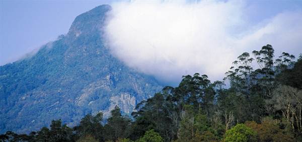 Mount Warning - Wollumbin National Park (28/02/2013 4:13:53 PM)