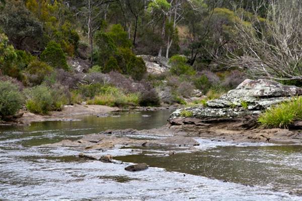 Berrima Reserve (28/02/2013 9:35:25 PM)