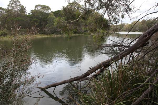 Berrima Reserve (28/02/2013 9:35:40 PM)