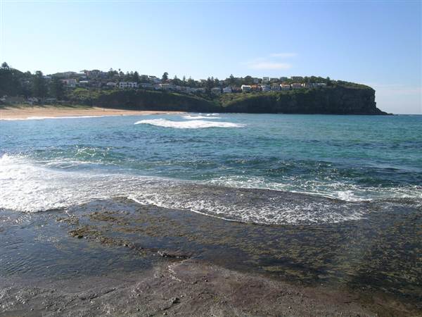 Bilgola Beach (1/03/2013 10:12:17 AM)