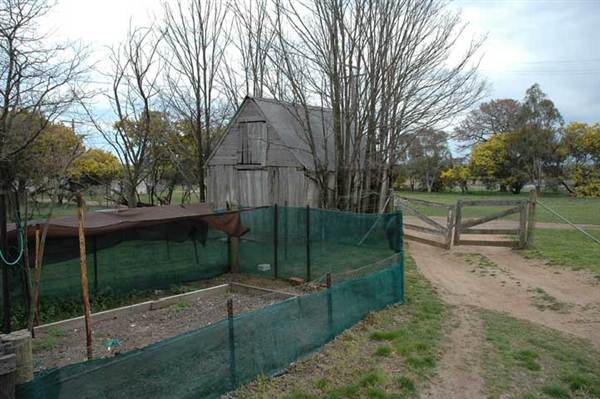 Boorowa (1/03/2013 11:29:52 AM)