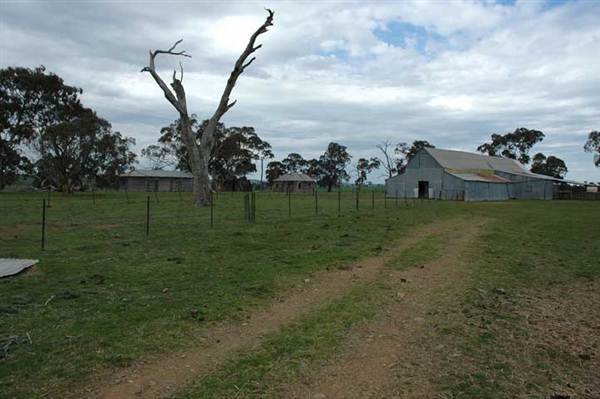 Boorowa (1/03/2013 11:29:58 AM)