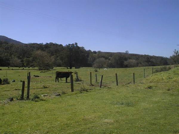 Jamberoo (1/03/2013 11:33:41 AM)