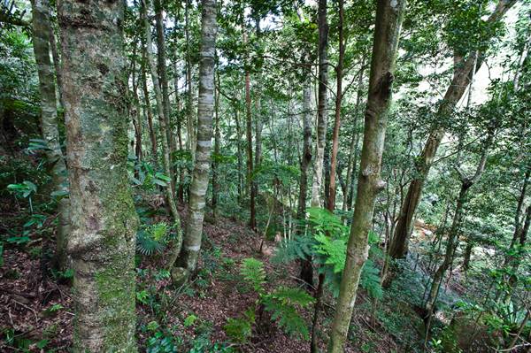 Jamberoo (1/03/2013 11:35:46 AM)