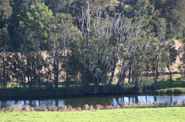 Jamberoo (1/03/2013 11:36:33 AM)
