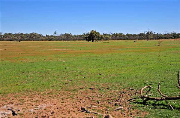 Bourke & Environs (1/03/2013 11:42:59 AM)