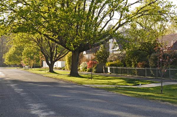 Bowral - Southern Highlands (1/03/2013 11:47:23 AM)