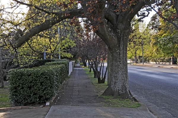 Bowral - Southern Highlands (1/03/2013 11:47:38 AM)