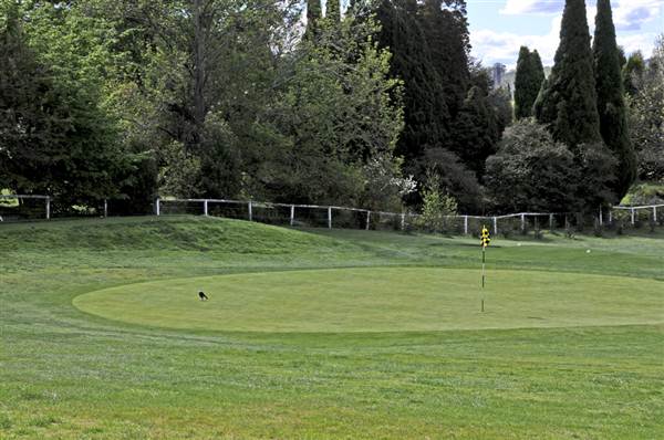 Bowral - Southern Highlands (1/03/2013 11:49:00 AM)