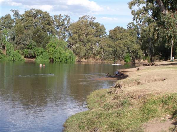 Wagga Wagga (1/03/2013 12:06:07 PM)