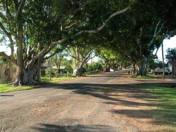 Briemba St, Grafton (1/03/2013 12:06:26 PM)