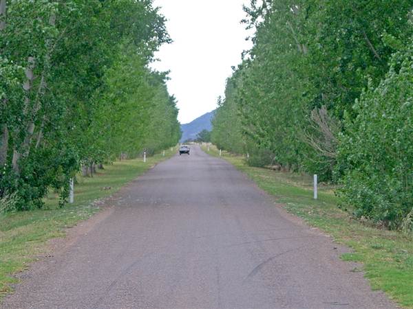 Broke vineyards (1/03/2013 12:13:21 PM)