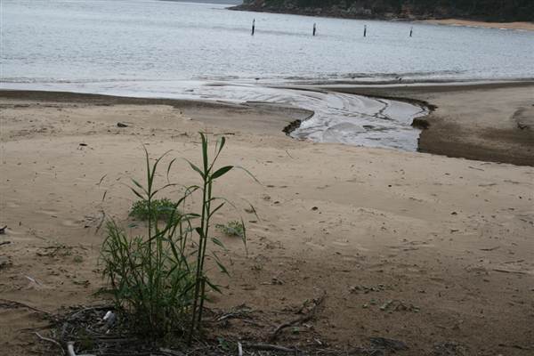 Broken Bay Sport & Recreation Centre (1/03/2013 5:37:34 PM)