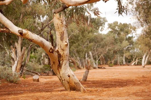 BROKEN HILL - Town & Surrounds (1/03/2013 7:10:03 PM)