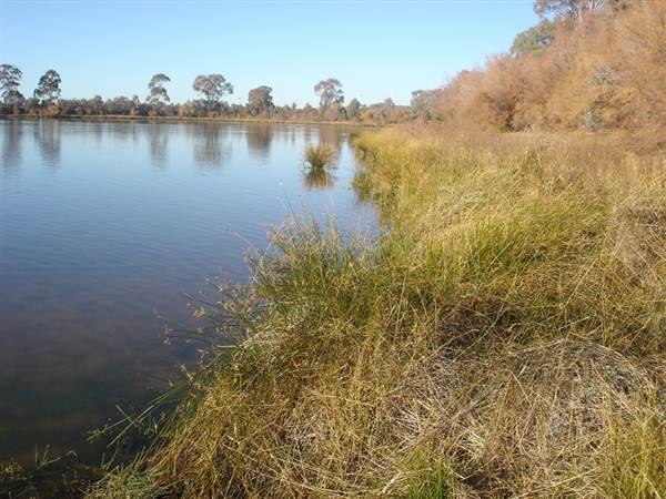 Broken Hill Area (1/03/2013 7:31:02 PM)