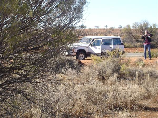 Broken Hill Area (1/03/2013 7:36:46 PM)