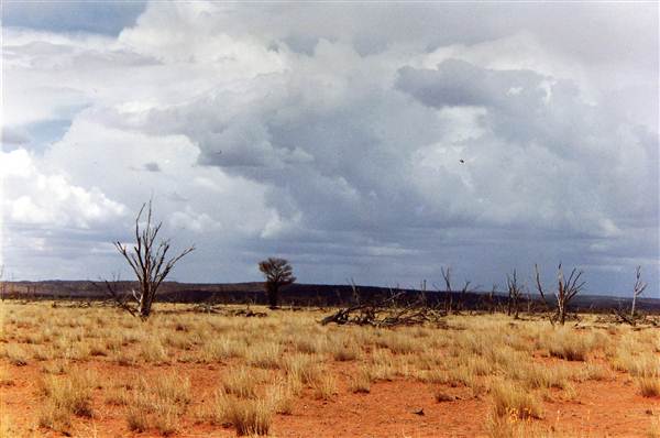 Broken Hill Area (Inc. Silverton) (1/03/2013 8:00:37 PM)