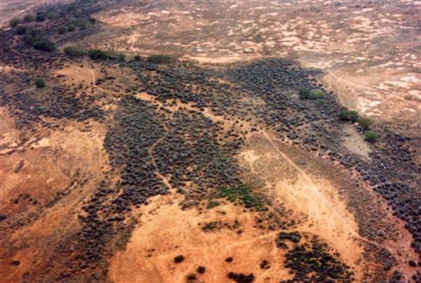 Broken Hill Area (Inc. Silverton) (1/03/2013 8:01:24 PM)