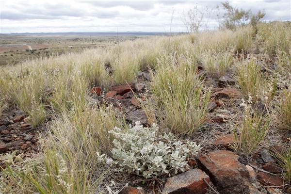 BROKEN HILL, OUTCROPS & SURROUNDS 2012 (2/03/2013 3:13:22 PM)