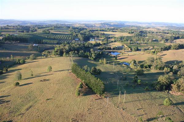 Byron Hinterland-Hot Air Balloon (2/03/2013 10:59:26 PM)