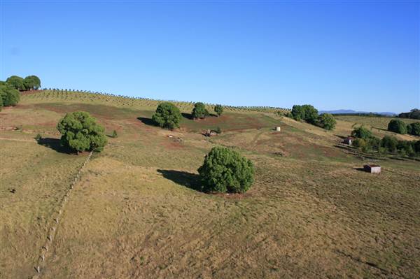 Byron Hinterland-Hot Air Balloon (2/03/2013 11:01:53 PM)