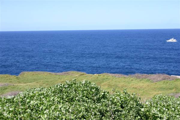 Cape Banks (3/03/2013 8:27:09 AM)