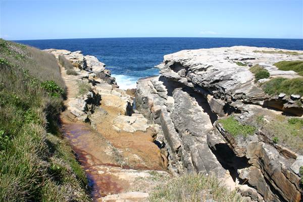 Cape Banks (3/03/2013 8:28:47 AM)